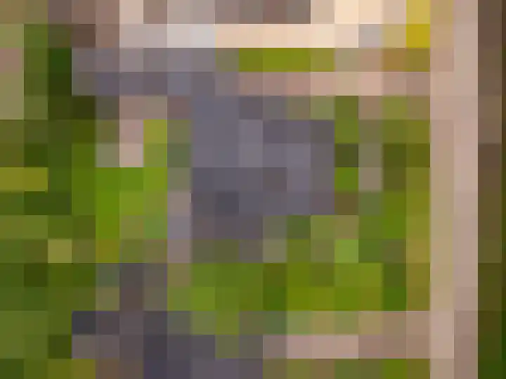 Slagendijk 7 Zuidwolde thumbnail 43