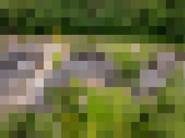 Slagendijk 7 Zuidwolde thumbnail 44