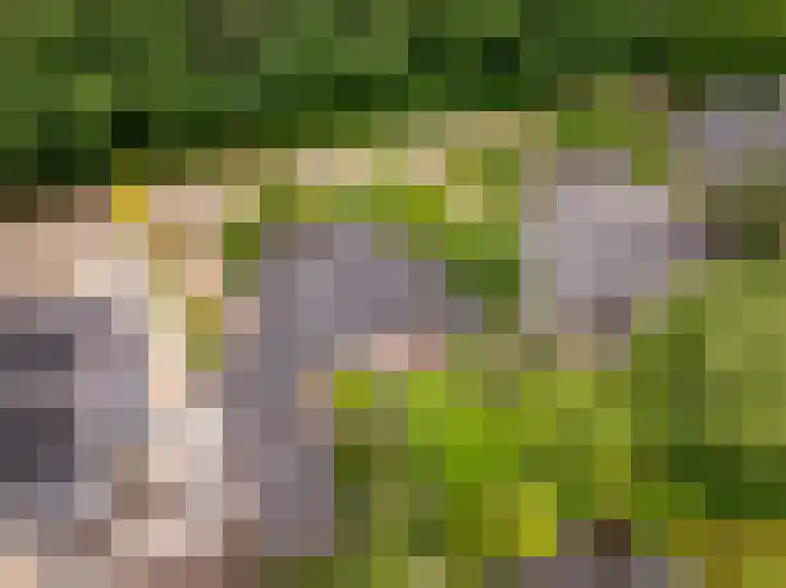 Slagendijk 7 Zuidwolde thumbnail 45