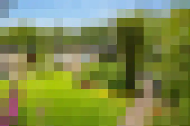 Slagendijk 7 Zuidwolde thumbnail 46