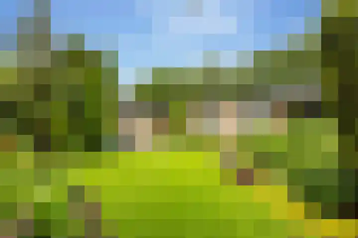 Slagendijk 7 Zuidwolde thumbnail 47