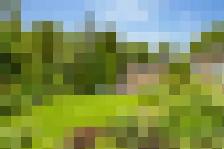 Slagendijk 7 Zuidwolde thumbnail 48