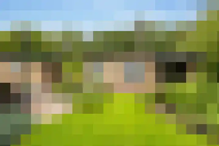 Slagendijk 7 Zuidwolde thumbnail 49