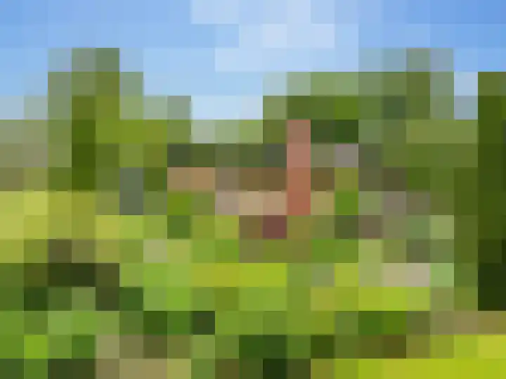 Slagendijk 7 Zuidwolde thumbnail 5