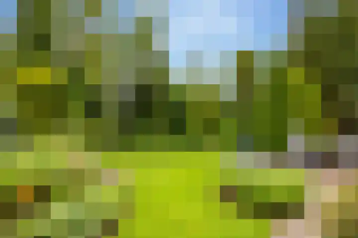 Slagendijk 7 Zuidwolde thumbnail 50