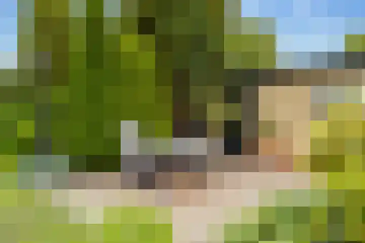 Slagendijk 7 Zuidwolde thumbnail 51