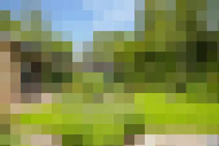 Slagendijk 7 Zuidwolde thumbnail 52