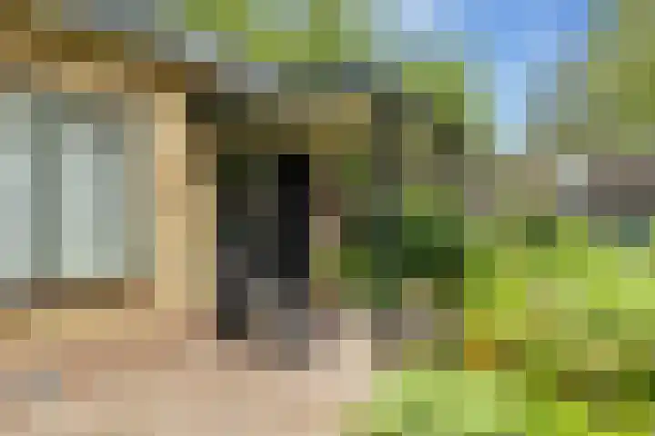 Slagendijk 7 Zuidwolde thumbnail 53