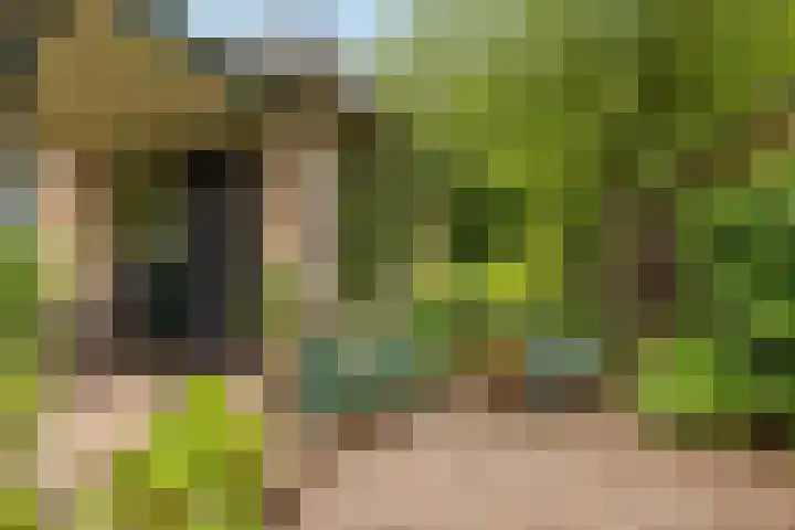 Slagendijk 7 Zuidwolde thumbnail 54