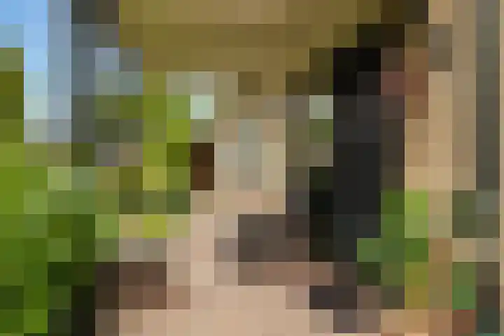 Slagendijk 7 Zuidwolde thumbnail 55