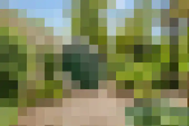 Slagendijk 7 Zuidwolde thumbnail 56