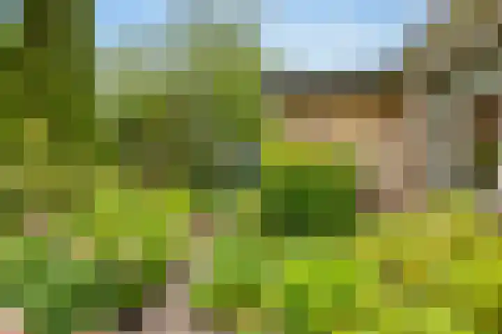 Slagendijk 7 Zuidwolde thumbnail 57