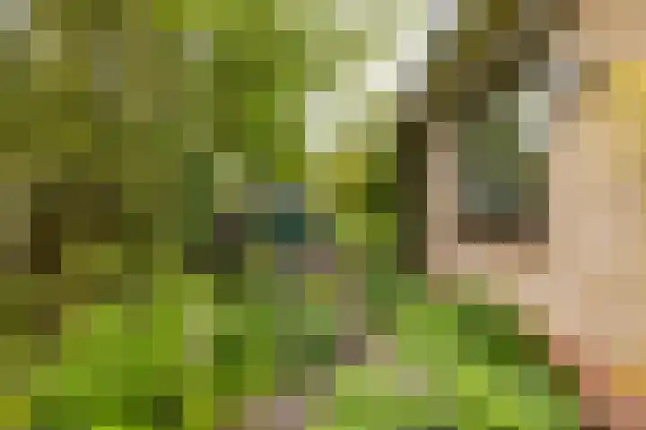 Slagendijk 7 Zuidwolde thumbnail 58
