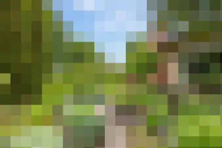Slagendijk 7 Zuidwolde thumbnail 59