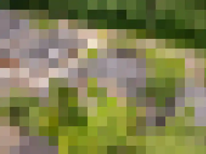 Slagendijk 7 Zuidwolde thumbnail 6
