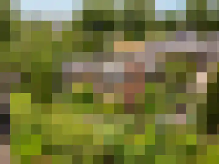 Slagendijk 7 Zuidwolde thumbnail 60