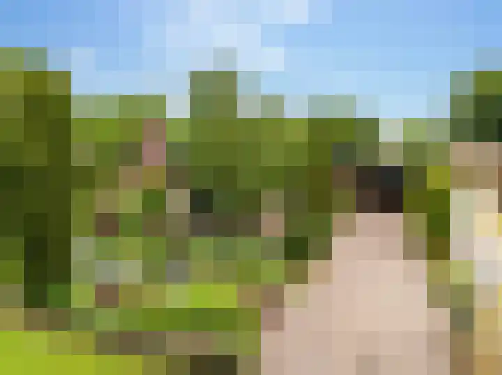 Slagendijk 7 Zuidwolde thumbnail 61