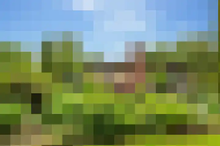 Slagendijk 7 Zuidwolde thumbnail 62