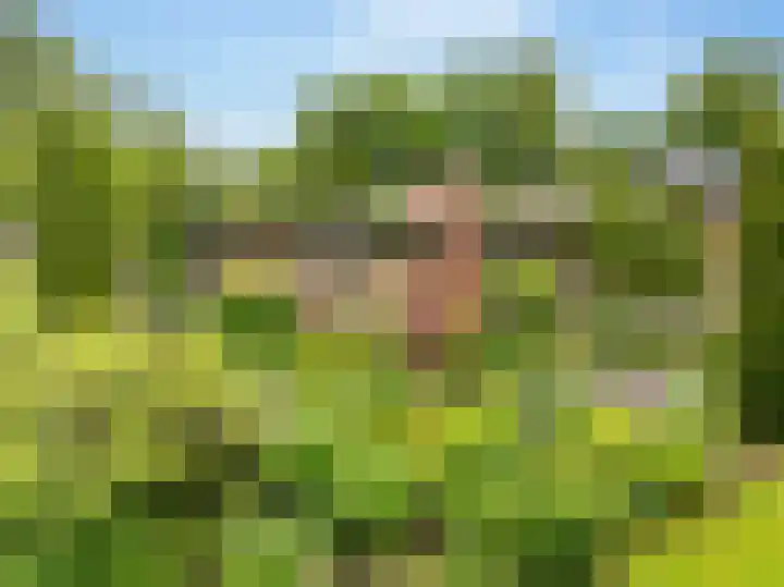 Slagendijk 7 Zuidwolde thumbnail 63