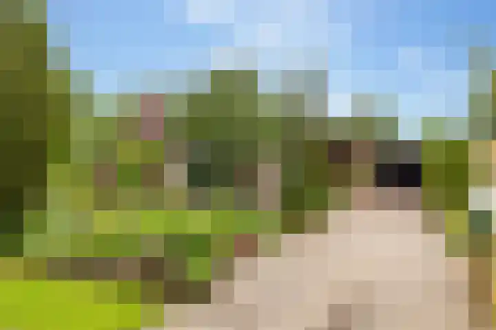 Slagendijk 7 Zuidwolde thumbnail 65