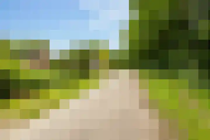 Slagendijk 7 Zuidwolde thumbnail 66