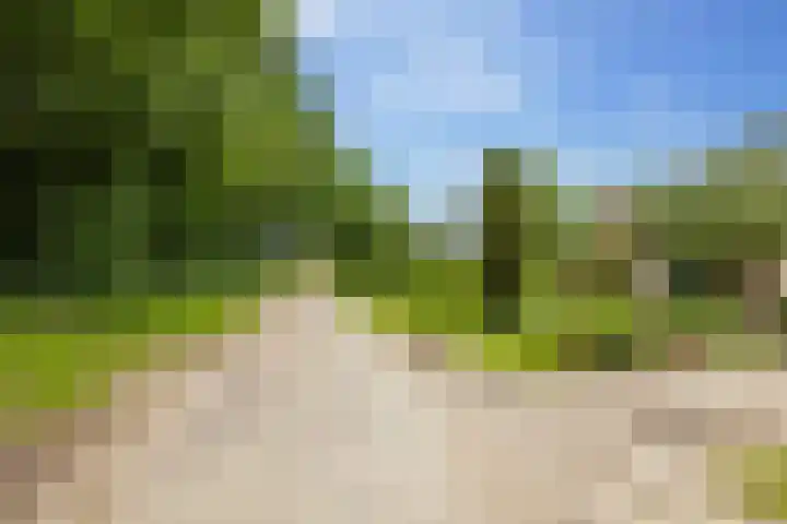 Slagendijk 7 Zuidwolde thumbnail 67