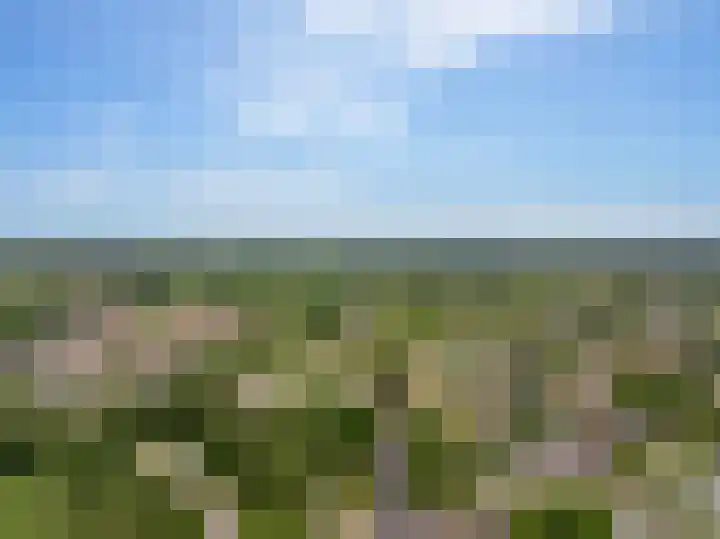 Slagendijk 7 Zuidwolde thumbnail 68