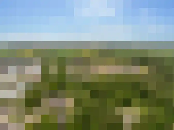 Slagendijk 7 Zuidwolde thumbnail 69