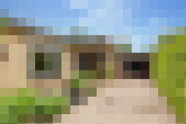 Slagendijk 7 Zuidwolde thumbnail 7