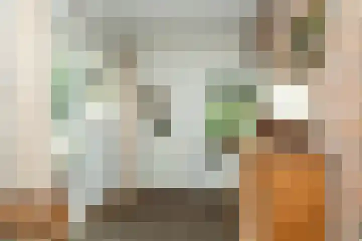 Slagendijk 7 Zuidwolde thumbnail 9
