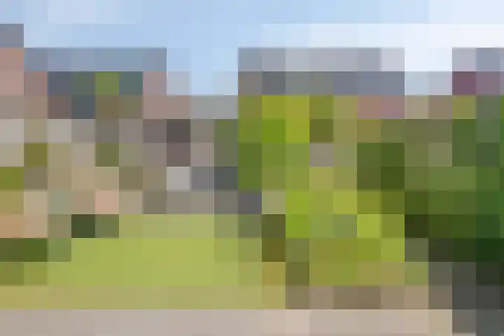 Slagenland 10 's Gravenmoer thumbnail 29