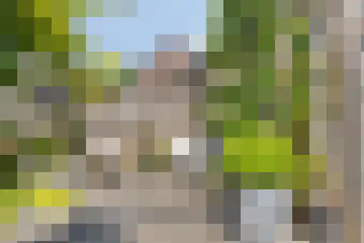 Slagenland 10 's Gravenmoer thumbnail 32