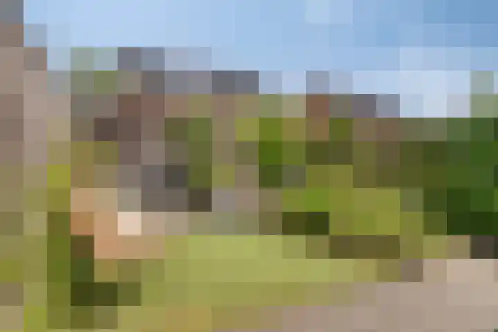 Slagenland 10 's Gravenmoer thumbnail 6