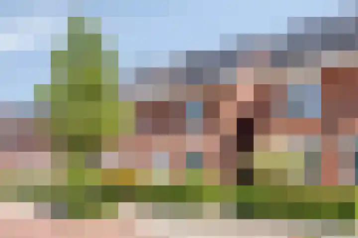 Slagenland 10 's Gravenmoer thumbnail 7
