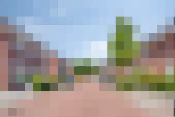 Slagenland 10 's Gravenmoer thumbnail 9