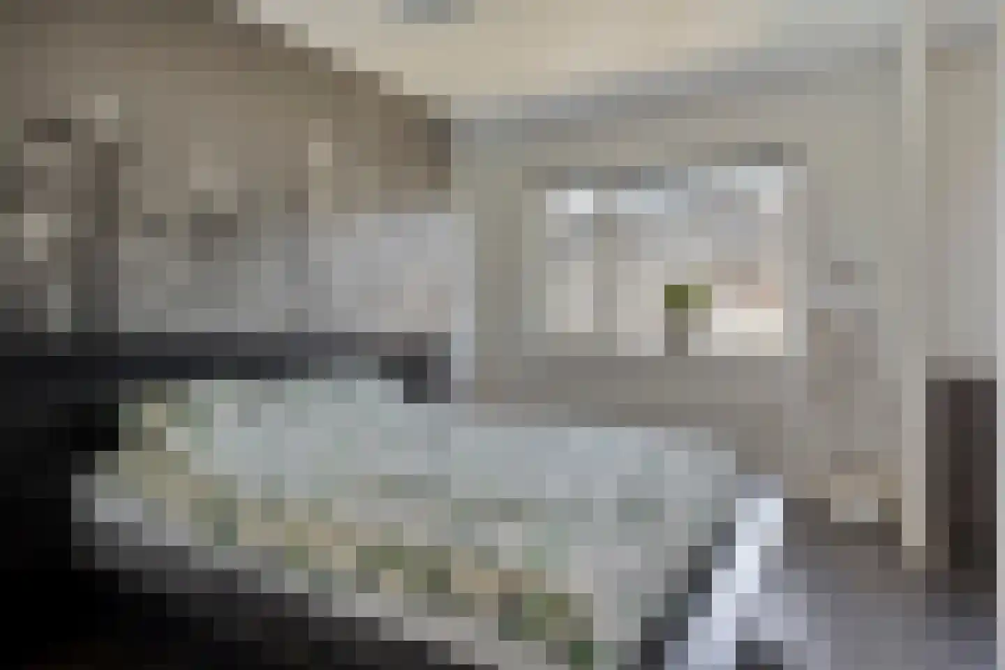 Slagenland 12 's Gravenmoer thumbnail 4