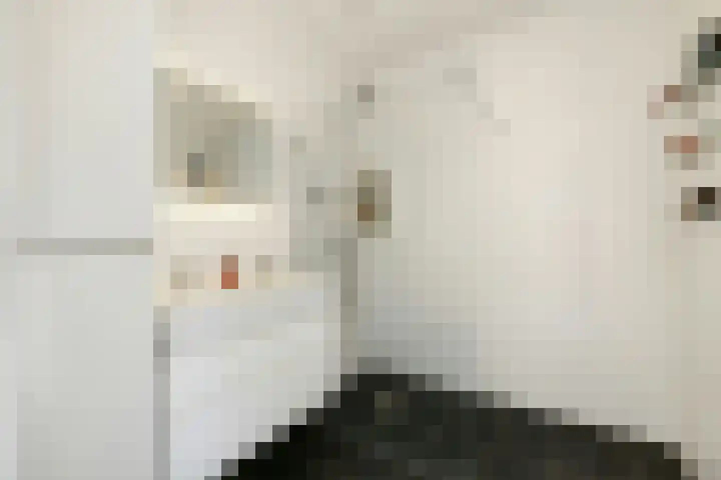 Slagenland 13 Assendelft thumbnail 6