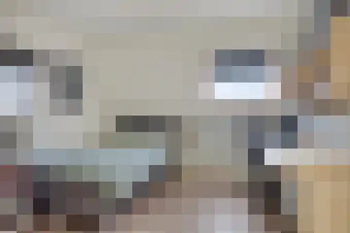 Slagenland 2 's Gravenmoer thumbnail 23
