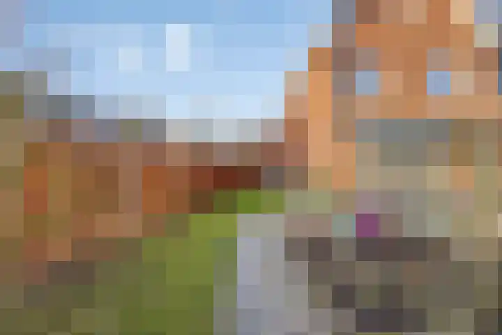 Slagenland 2 's Gravenmoer thumbnail 26