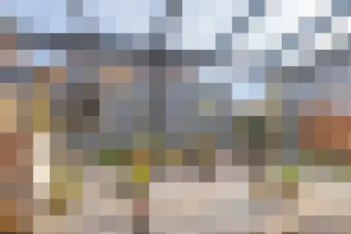 Slagenland 2 's Gravenmoer thumbnail 27