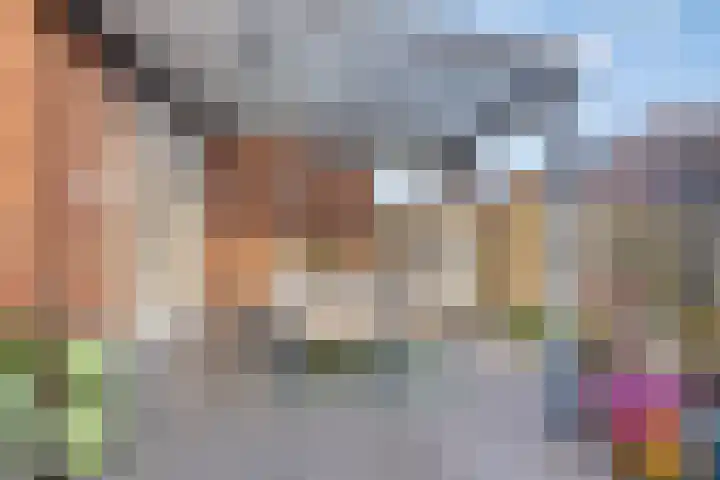 Slagenland 2 's Gravenmoer thumbnail 29
