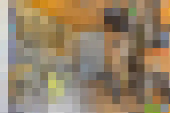 Slagenland 2 's Gravenmoer thumbnail 30