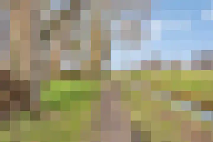 Slagenland 2 's Gravenmoer thumbnail 31