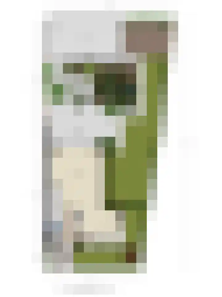 Slagenland 2 's Gravenmoer thumbnail 32