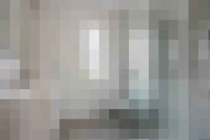 Slagenland 2 's Gravenmoer thumbnail 5