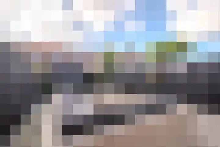 Slagenland 5 Assendelft thumbnail 12