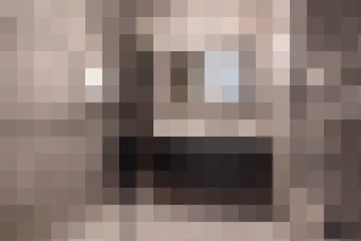 Slagenland 5 Assendelft thumbnail 23