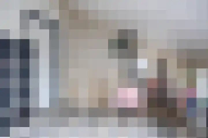 Slagenland 5 Assendelft thumbnail 29