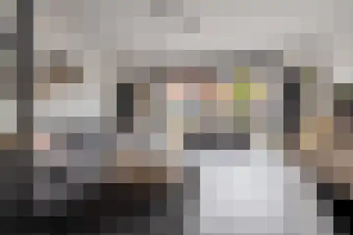 Slagenland 5 Assendelft thumbnail 4