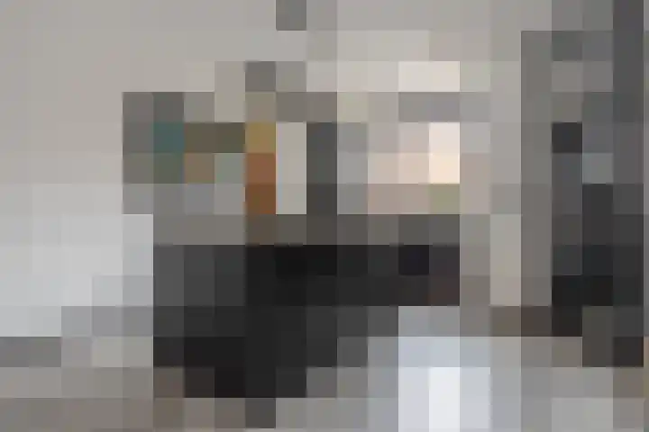 Slagenland 5 Assendelft thumbnail 5